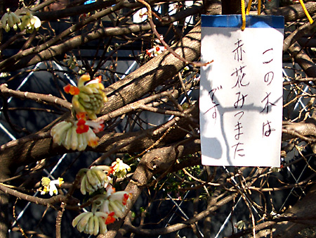 日々雑感 - DoromPATIO