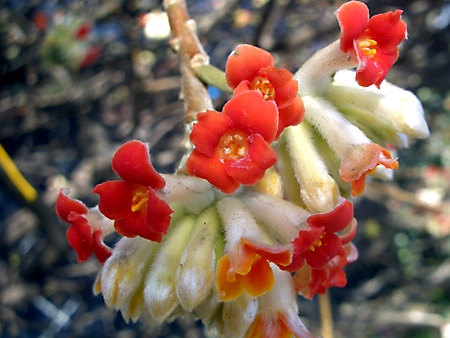 日々雑感 - DoromPATIO