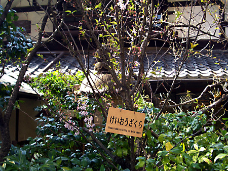 日々雑感 - DoromPATIO