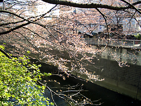 日々雑感 - DoromPATIO