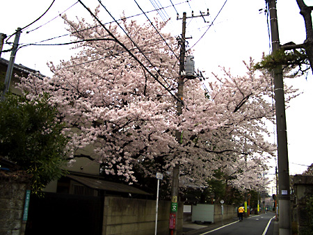 日々雑感 - DoromPATIO