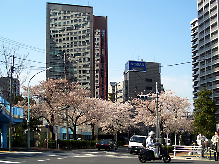 日々雑感 - DoromPATIO