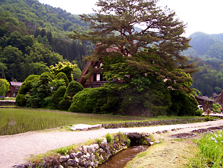 白川郷、加賀越前、金沢、兼六園、東茶屋