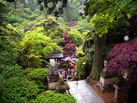 白川郷、加賀越前、金沢、兼六園、東茶屋