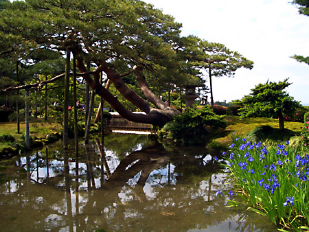 白川郷、加賀越前、金沢、兼六園、東茶屋
