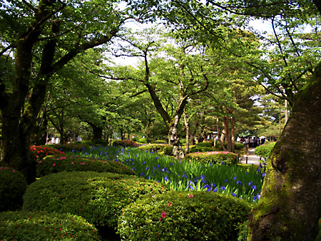 白川郷、加賀越前、金沢、兼六園、東茶屋