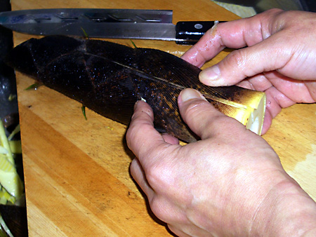 日々雑感 - DoromPATIO