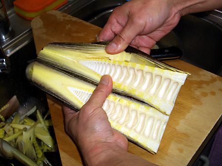 日々雑感 - DoromPATIO