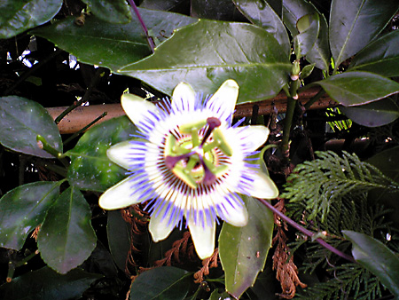 日々雑感 - DoromPATIO