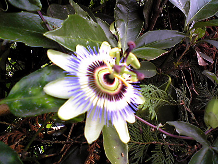 日々雑感 - DoromPATIO