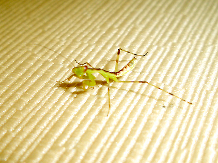 日々雑感 - DoromPATIO