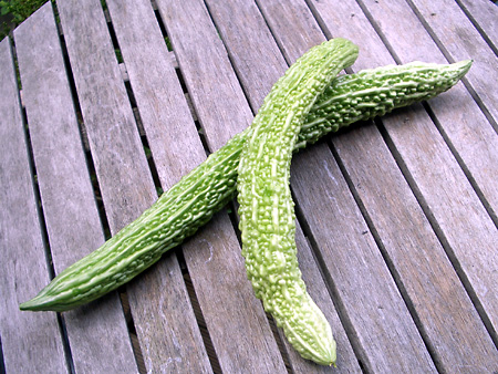 日々雑感 - DoromPATIO