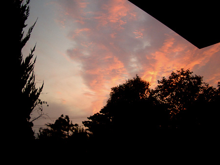 日々雑感 - DoromPATIO