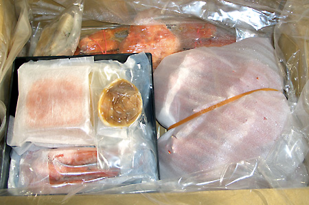 日々雑感 - DoromPATIO