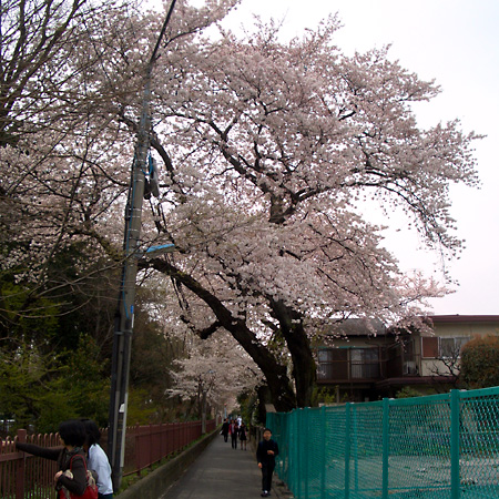 日々雑感 - DoromPATIO