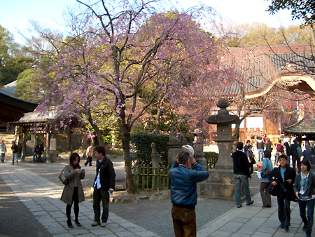 日々雑感 - DoromPATIO