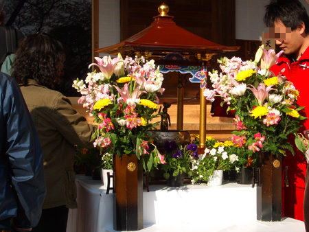 日々雑感 - DoromPATIO