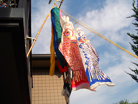 日々雑感 - DoromPATIO