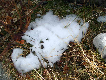 立山、黒部、満喫ツアー