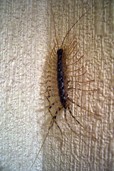 日々雑感 - DoromPATIO