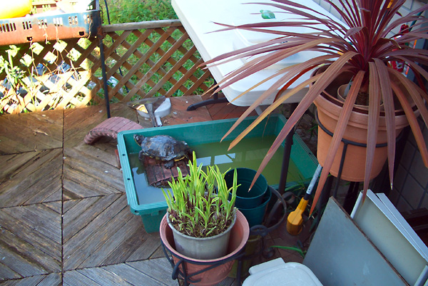 日々雑感 - DoromPATIO