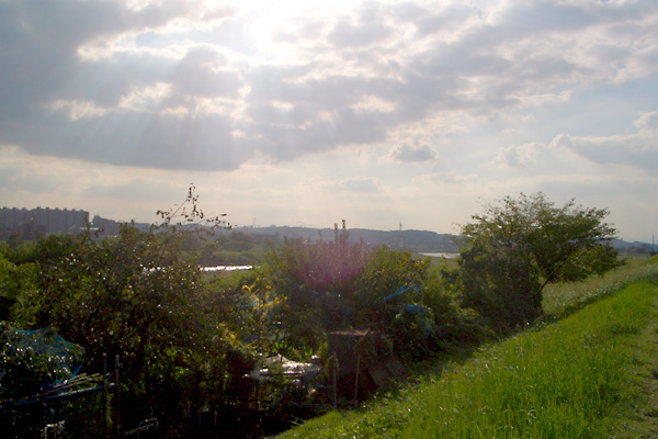 日々雑感 - DoromPATIO