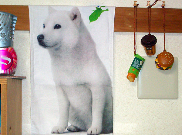 日々雑感 - DoromPATIO