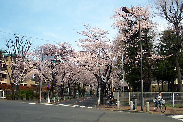 日々雑感 - DoromPATIO