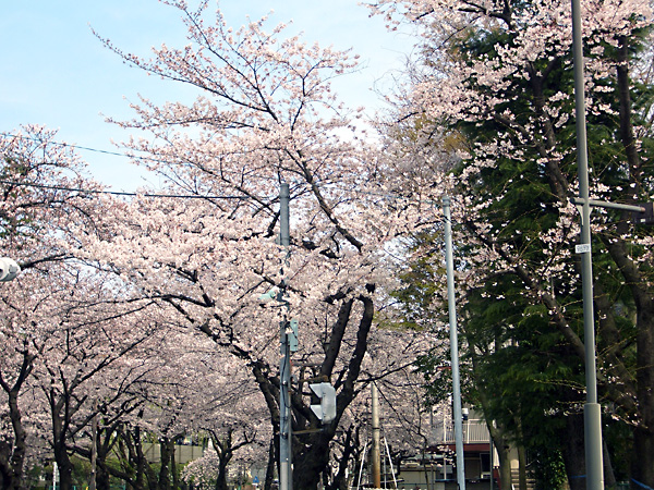 日々雑感 - DoromPATIO