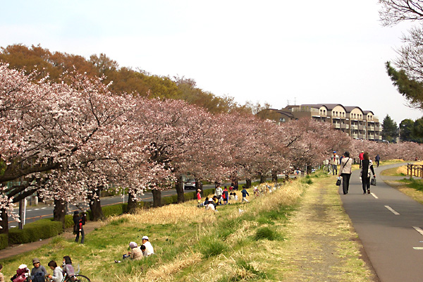 日々雑感 - DoromPATIO