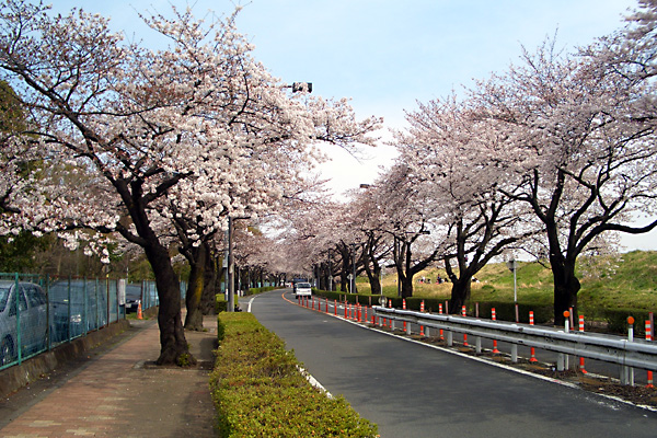 日々雑感 - DoromPATIO