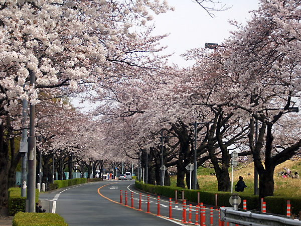 日々雑感 - DoromPATIO