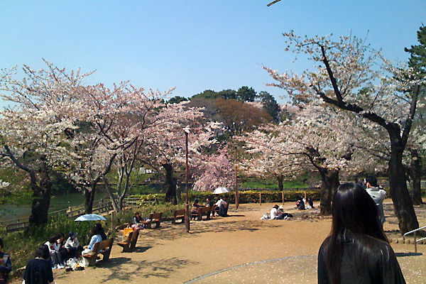 日々雑感 - DoromPATIO