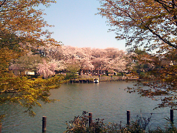 日々雑感 - DoromPATIO