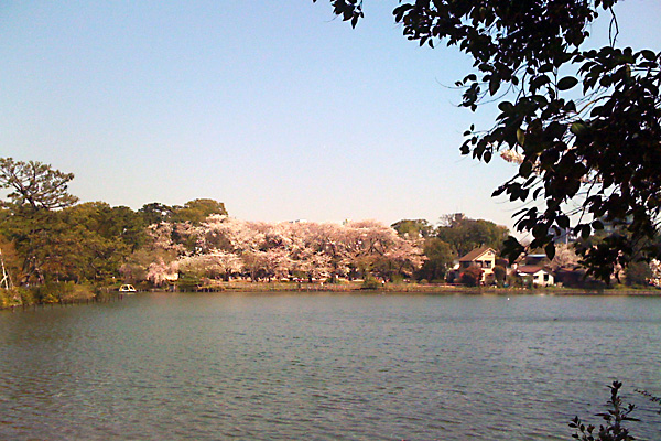 日々雑感 - DoromPATIO