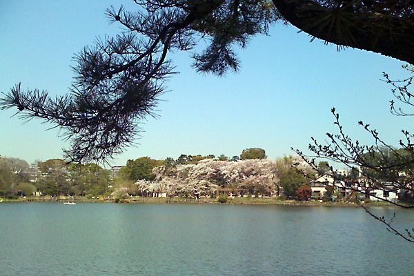 日々雑感 - DoromPATIO