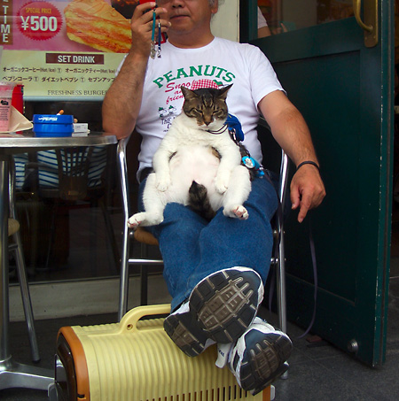 日々雑感 - DoromPATIO