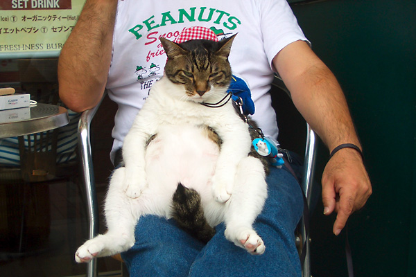 日々雑感 - DoromPATIO