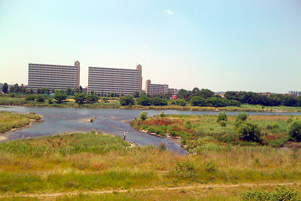 日々雑感 - DoromPATIO