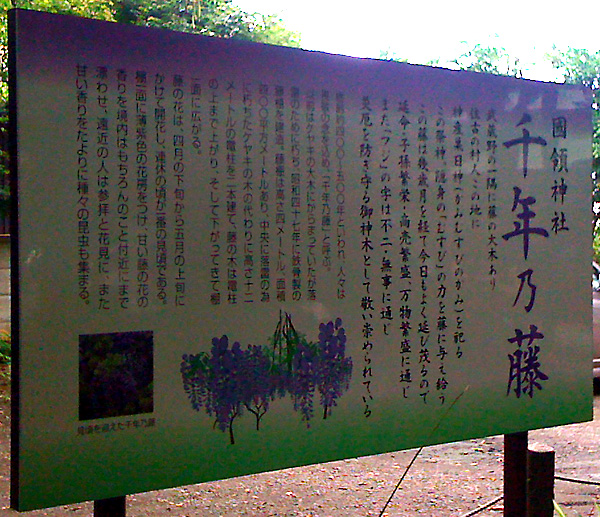 日々雑感 - DoromPATIO