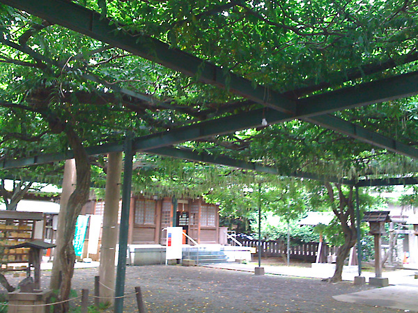 日々雑感 - DoromPATIO