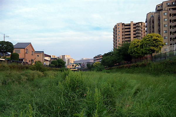 日々雑感 - DoromPATIO