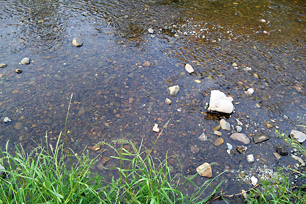 日々雑感 - DoromPATIO