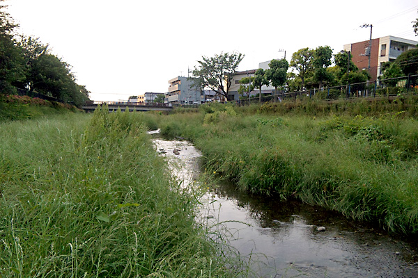 日々雑感 - DoromPATIO