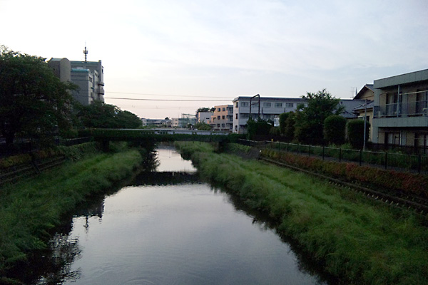 日々雑感 - DoromPATIO