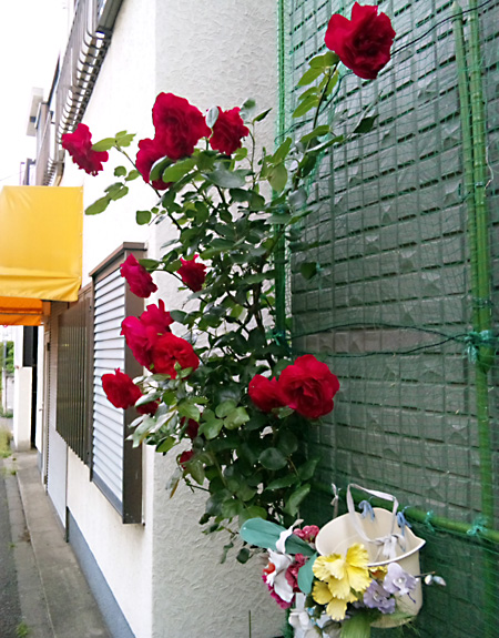 日々雑感 - DoromPATIO