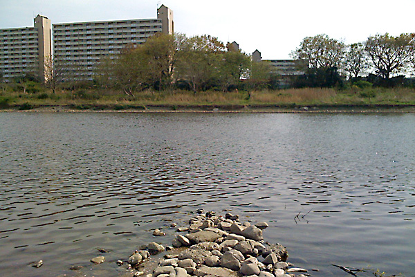 日々雑感 - DoromPATIO