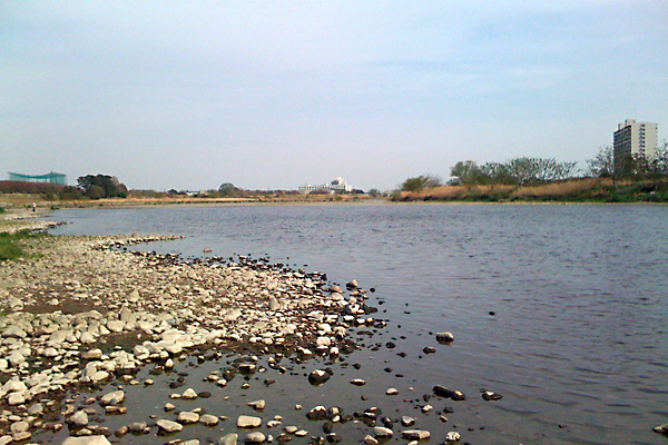 日々雑感 - DoromPATIO