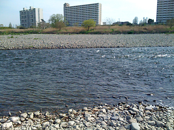 日々雑感 - DoromPATIO