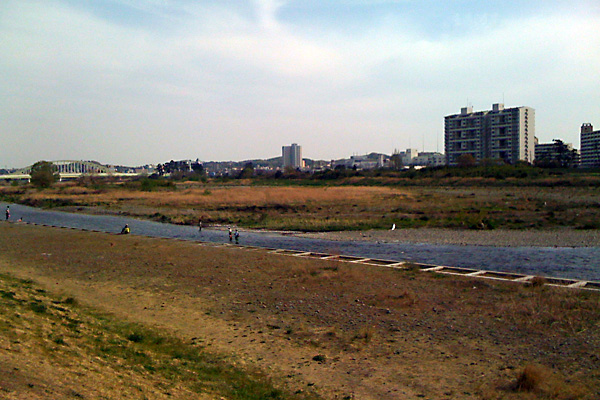 日々雑感 - DoromPATIO